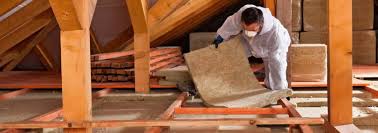 Best Insulation Removal  in Linntown, PA